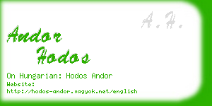 andor hodos business card